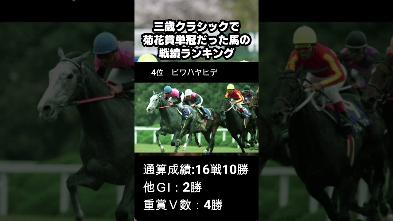 菊花賞 活躍馬ランキング　1984～