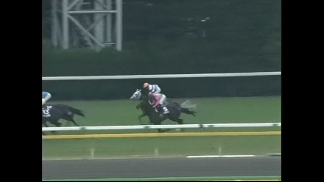 天皇賞(秋) 2004年