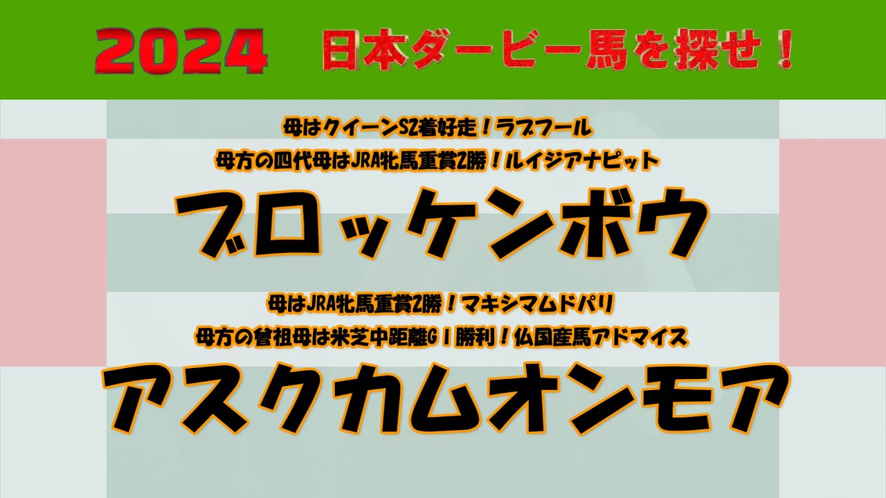 2024年日本ダービー馬を探せ！ #61　先週の未勝利戦を勝ち上がったブロッケンボウ、アスクカムオンモアを注目馬として取り上げました。