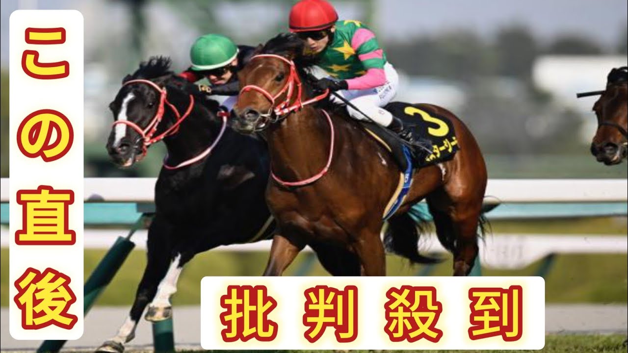 ミスタージーティー皐月賞切符獲得　「先行できれば」藤岡佑騎手の予感ピタリ／若葉Ｓ