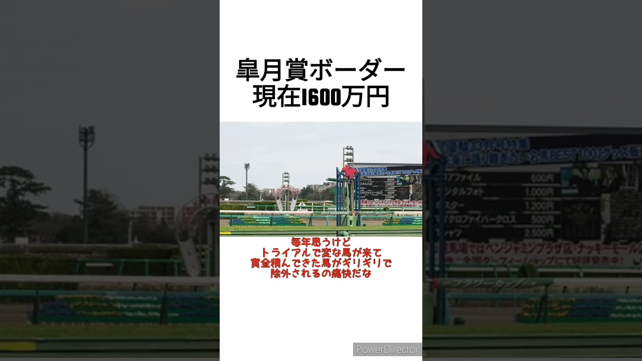 皐月賞ボーダーは現在1600万円　 #競馬