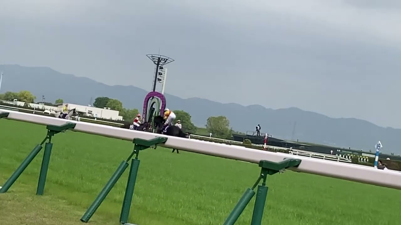 2023年第167回天皇賞(春)GI本馬場入場、現地、途中までですみません