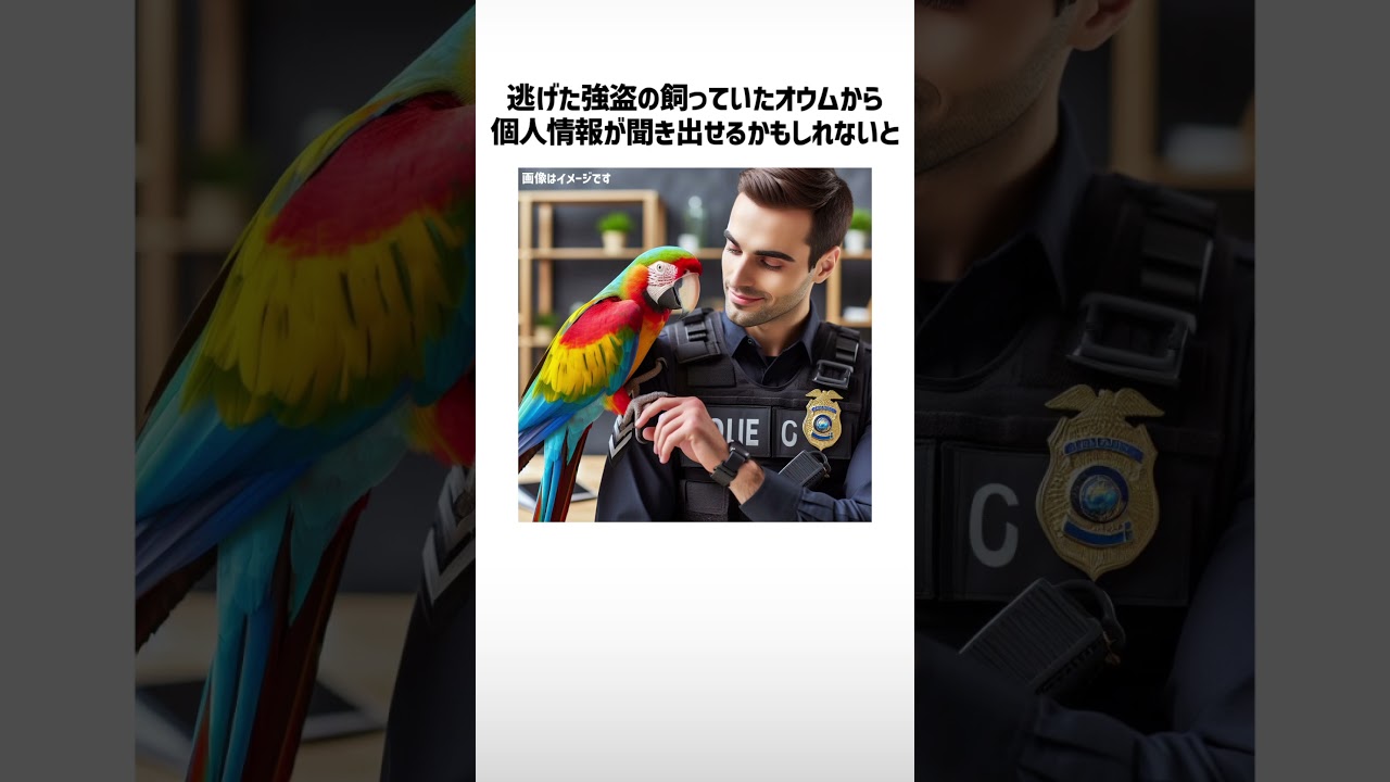 動物本当の雑学左右どっち？part127【ボイスロイド解説】#shorts