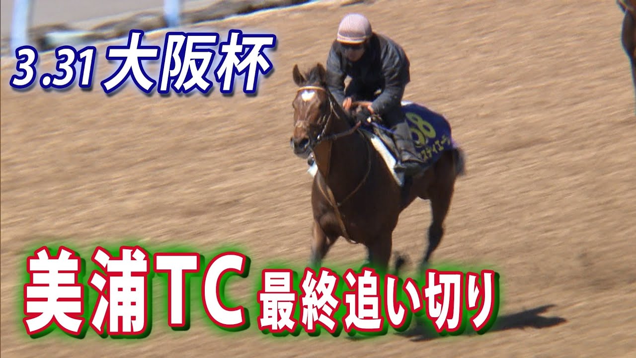 【5度目の対決！大阪杯】ソールオリエンス＆タスティエーラ　美浦トレセン最終追い切り