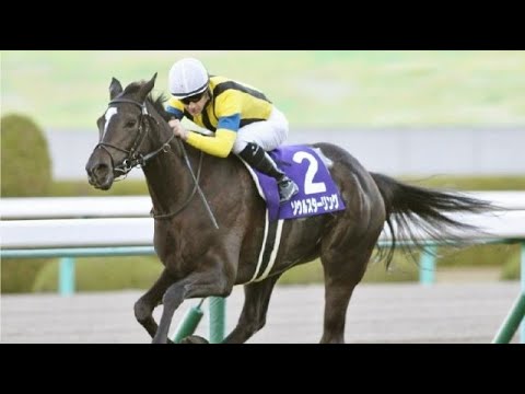 第68回　阪神ジュベナイルフィリーズ（ＧⅠ）　ソウルスターリング　牝２　54　C.ルメール　2016.12.11　出走馬：リスグラシュー、レーヌミノル、ディーパワンサ、ヴゼットジョリー、ゴールドケープ