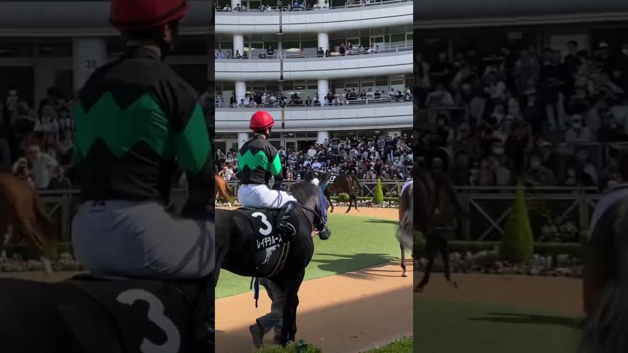 きょうも元気なレイデラルースくん #こしゃまる #競馬 #競馬予想
