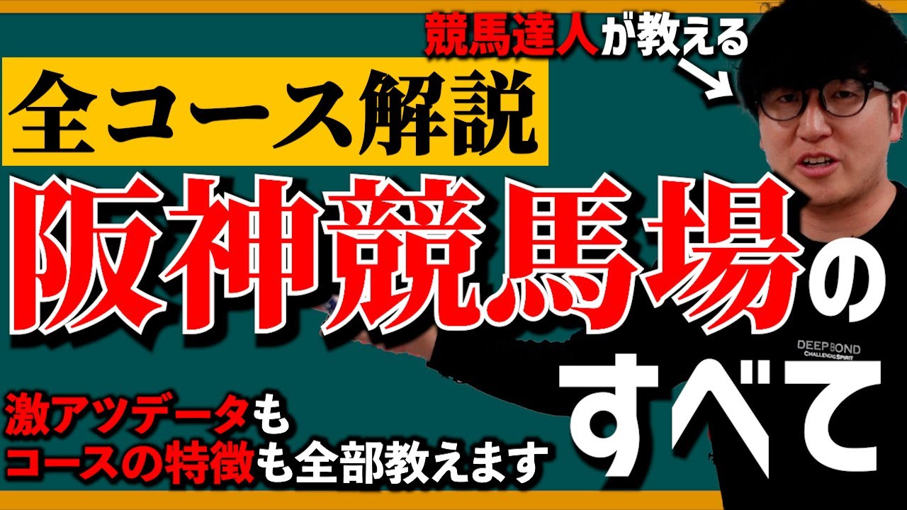 【永久保存版】これ一本で阪神競馬場の全てがわかる