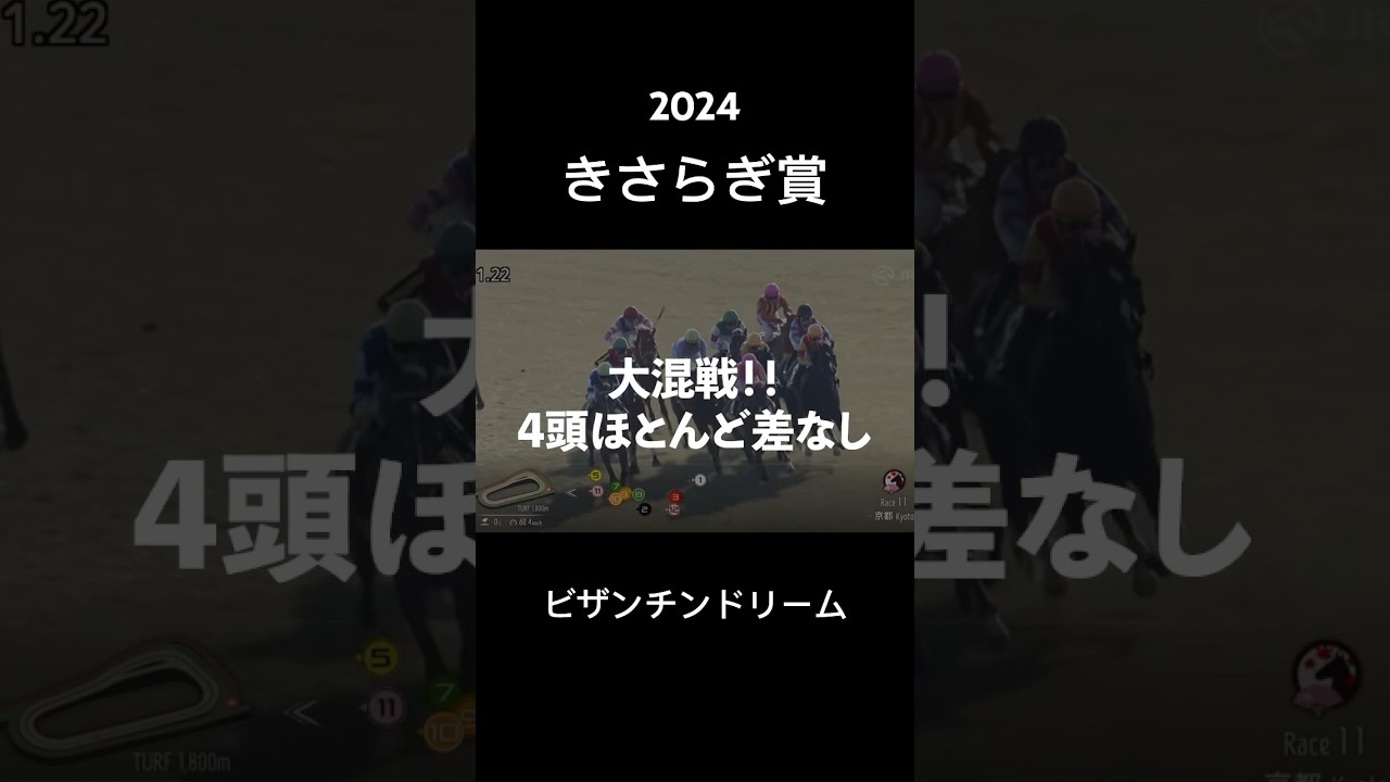 【ビザンチンドリーム】4頭がほとんどならび3頭はほとんど差がなし大混戦の2024きさらぎ賞！#競馬 #きさらぎ賞 #ビザンチンドリーム