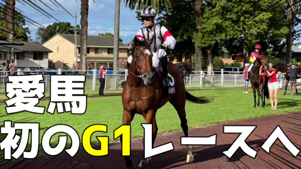 【遂にこの時が】一口馬主＆馬主人生初のG1出走が決定！！レース前にその胸の内を語る