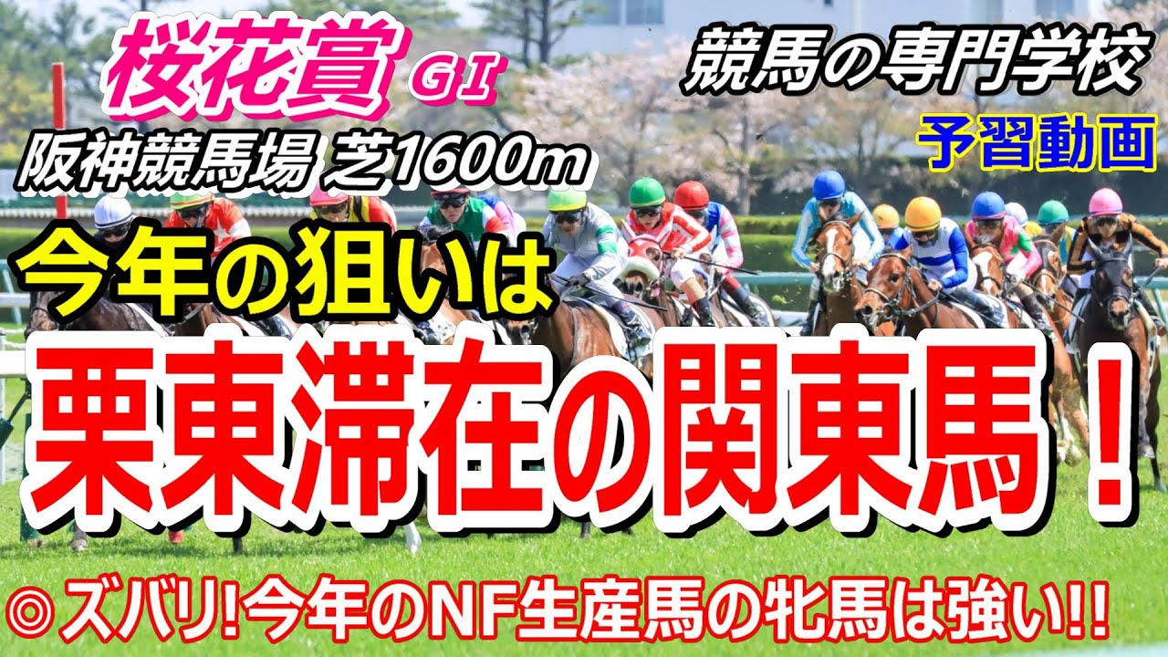 【桜花賞2024】予習動画 3戦3勝無敗のアスコリピチェーノ