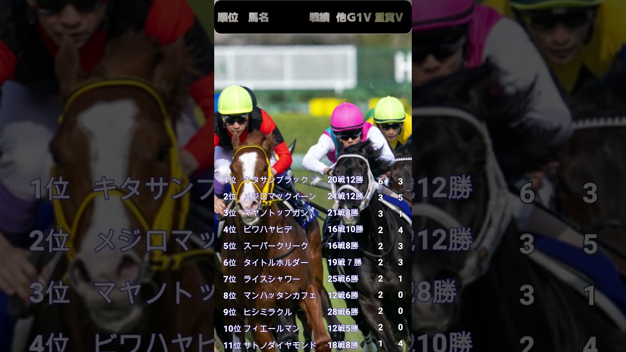 菊花賞馬　活躍ランキング　1984～
