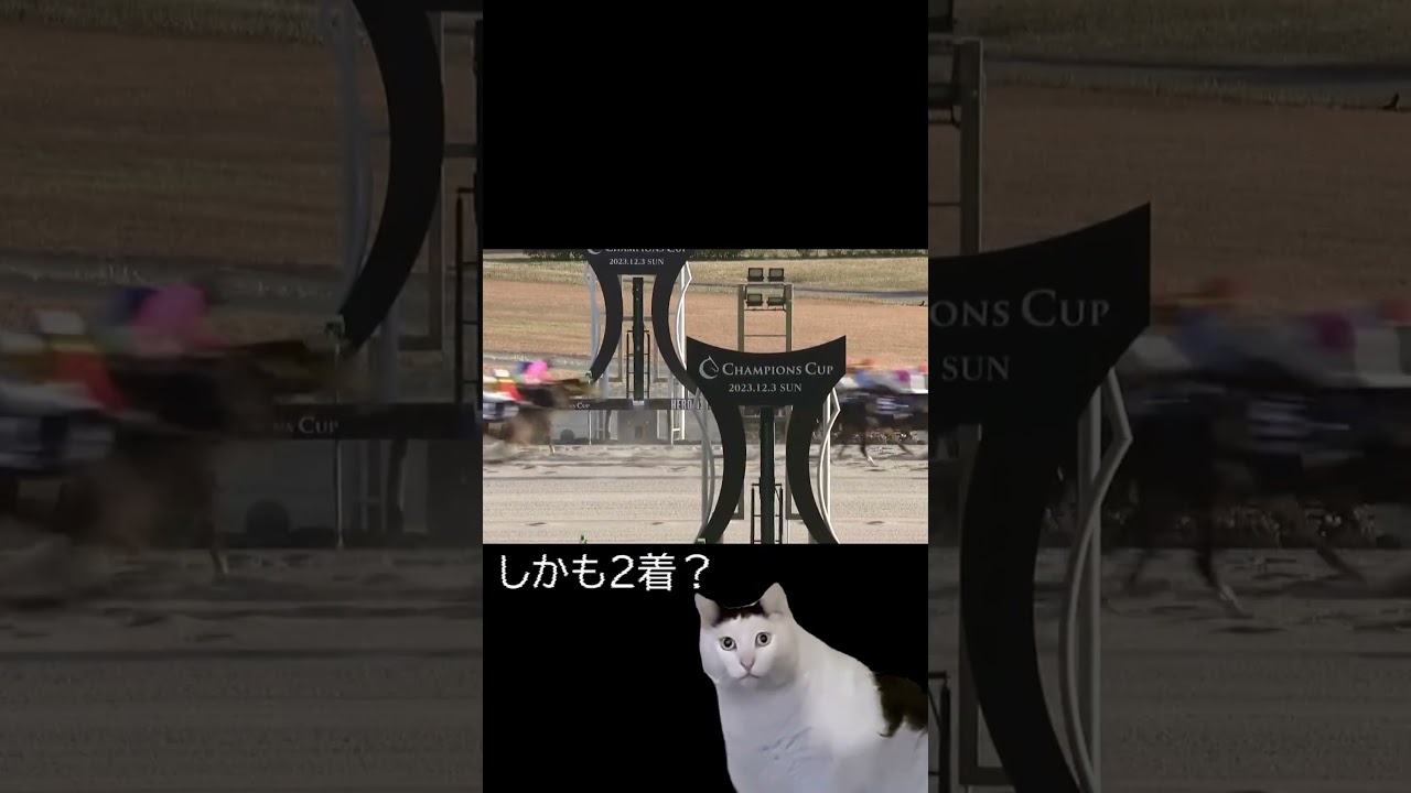 【猫ミーム】俺が競馬にハマったレース【チャンピオンズカップ】