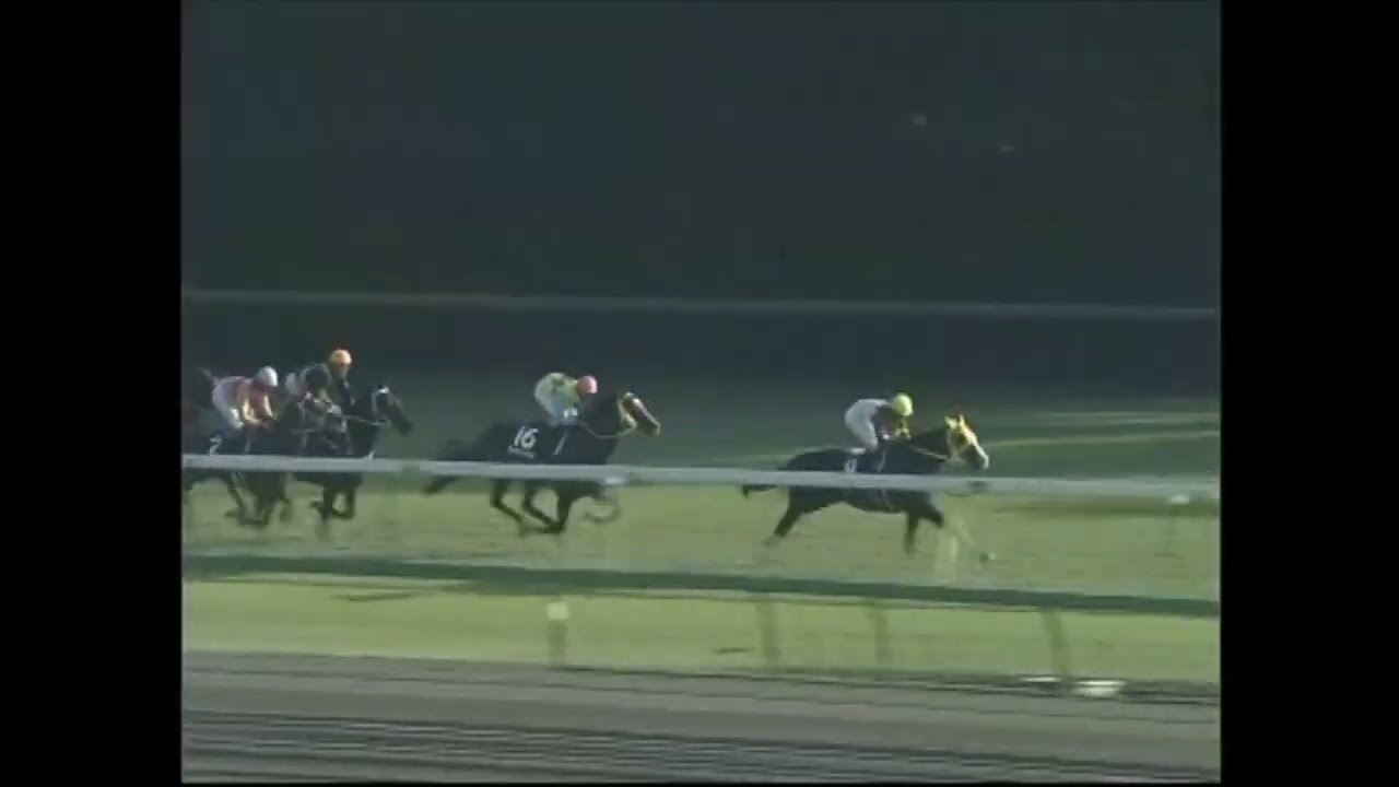 スプリンターズステークス 2005年