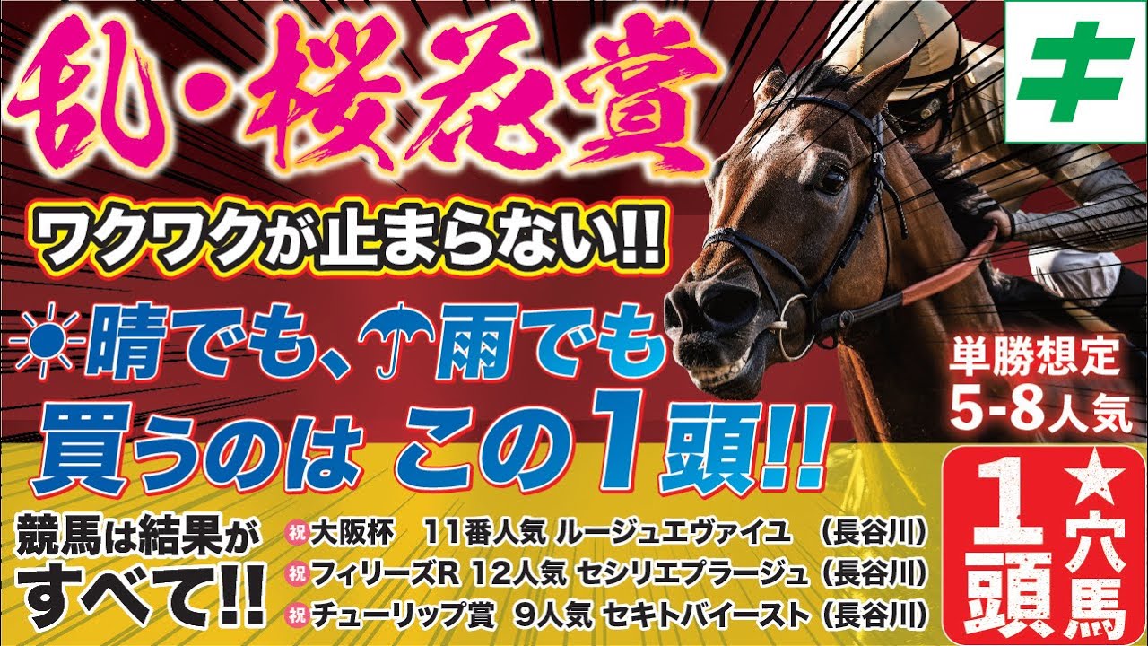 乱・桜花賞 2024【穴馬/予想】推定５～８人気！晴れでも、雨でも買うのは「あの☆馬」