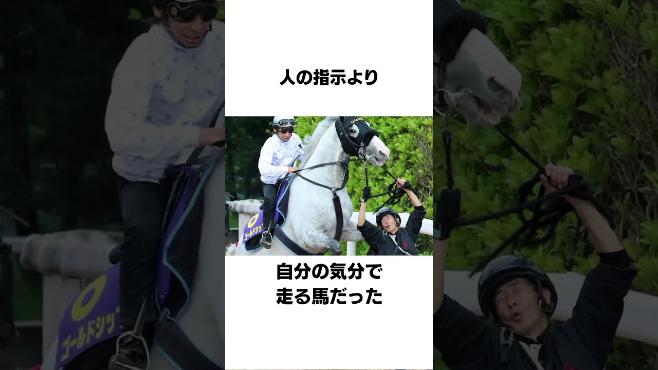 ゴールドシップの面白い雑学#競馬
