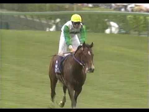 第1回 中山グランドジャンプ JG1（1999/4/11・中山） メジロファラオ