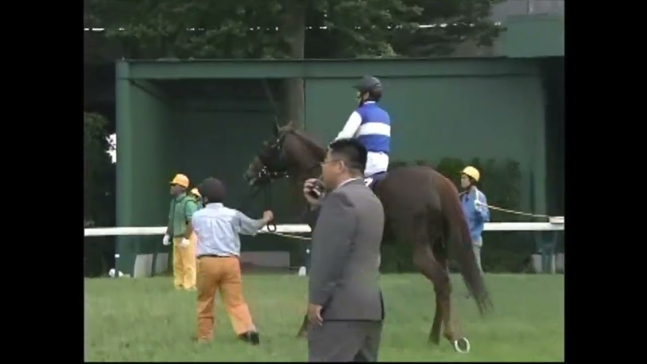 安田記念 2005年