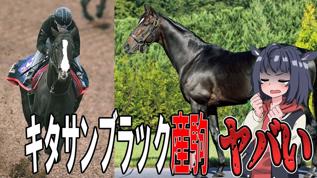 【クラシック出走不可】キタサンブラック産駒の成績がヤバい