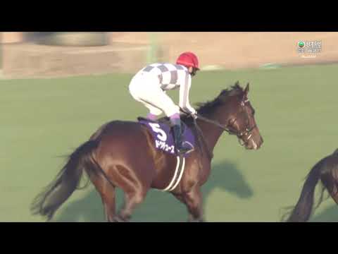 2023 有馬紀念賽 Arima Kinen 有馬記念 勝局在望 Do Deuce ドウデュース 武豊