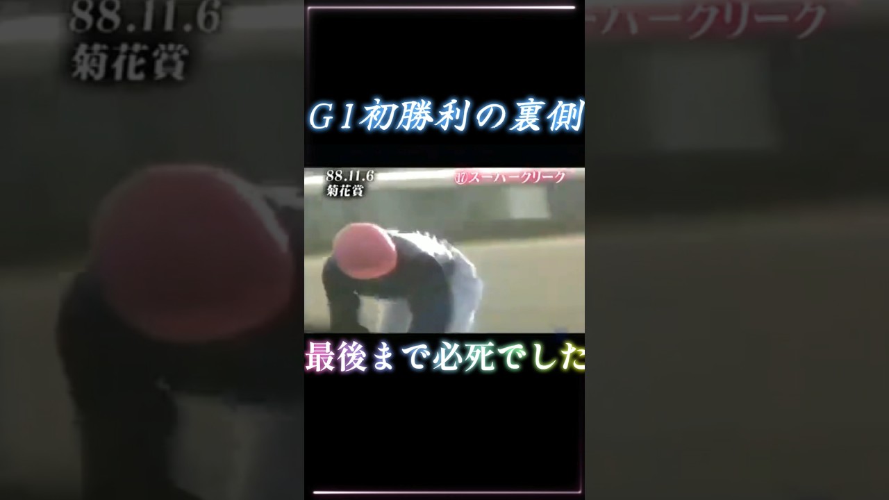 夢中で追ってました