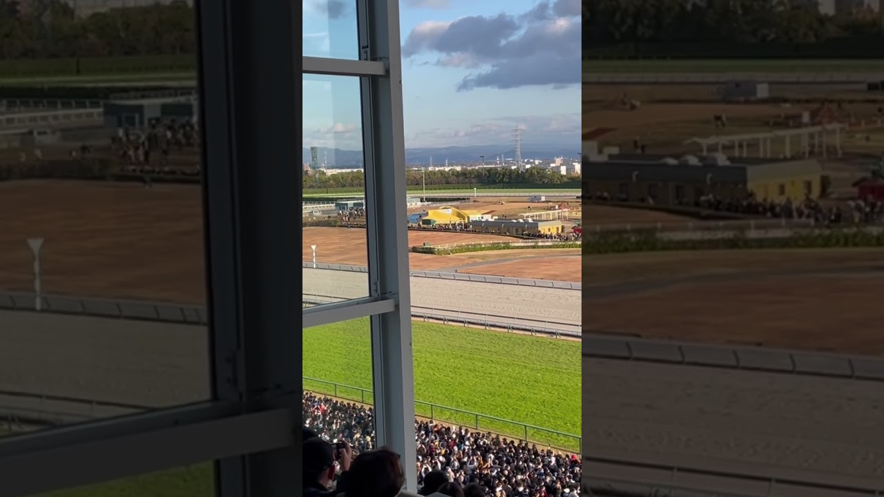 【2023チャンピオンズカップ】#チャンピオンズカップ#競馬#中京競馬場#レモンホップ#JRA