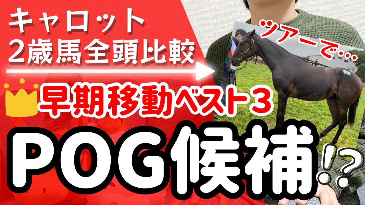 【POG】【一口馬主】キャロット２歳馬早期移動ベスト３！ダービー馬のデビュー時期は？