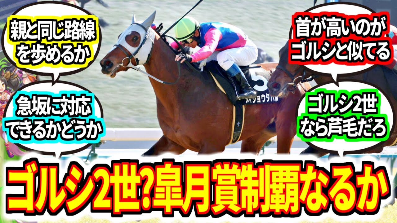 メイショウタバル『ゴールドシップ二世？』に対してのみんなの反応集【競馬の反応集】