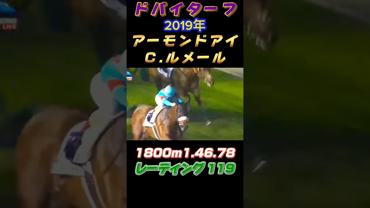 ドバイターフ振り返りPart②