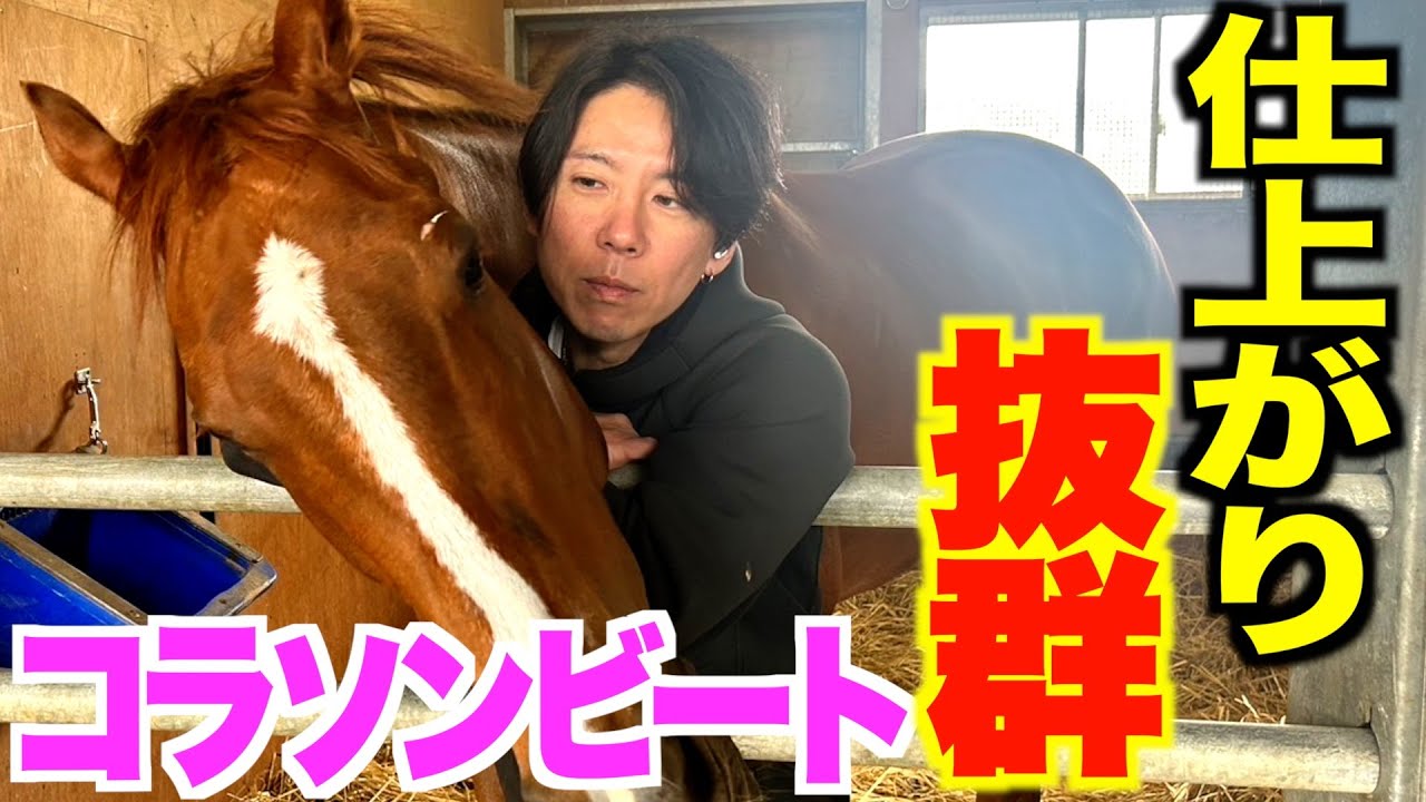 【桜花賞】コラソンビート・伊藤助手インタビュー「このレースを勝つために調整してきた」《東スポ競馬》