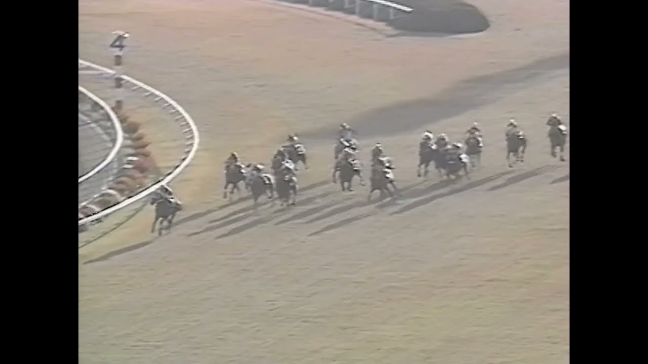 ヤマニンゼファー 1992年 第9回マイルチャンピオンシップ(GI) (優勝馬：ダイタクヘリオス)(実況：ラジオたんぱ)