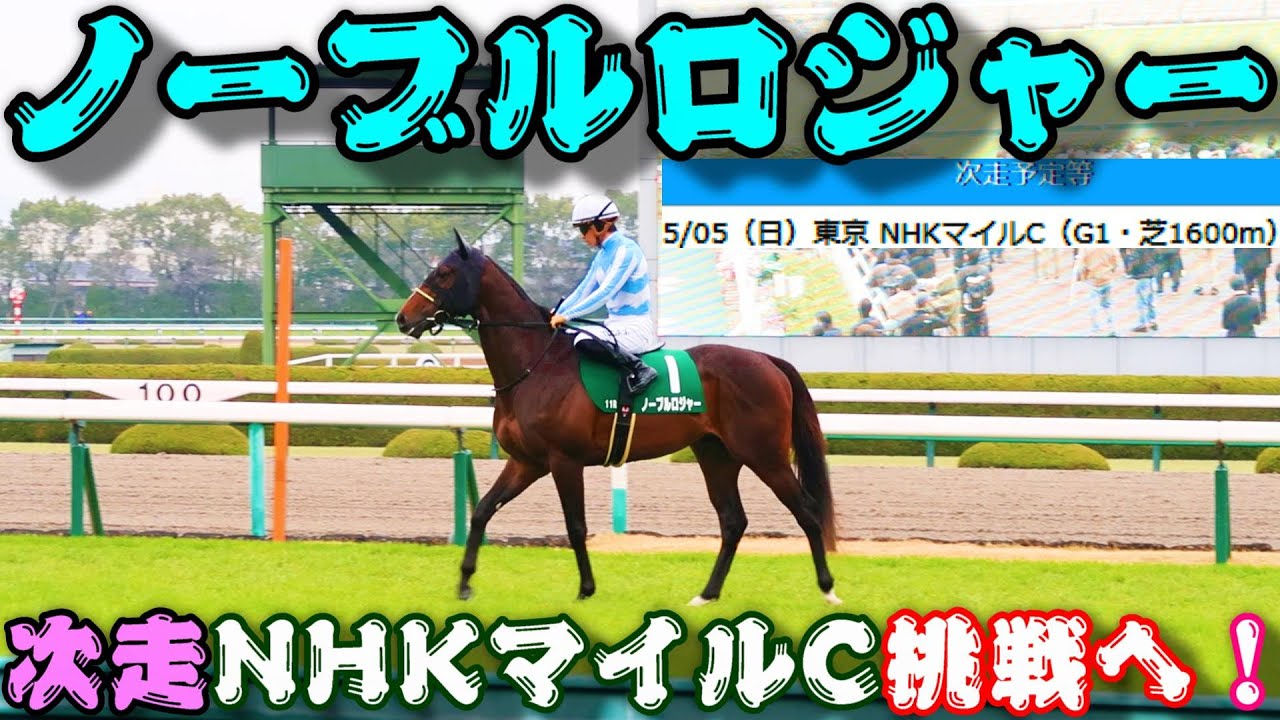 【一口馬主】ノーブルロジャー、次走NHKマイルカップ挑戦へ！-マイル路線に舵を切り、初陣を飾った舞台にて春の大一番へ-【ノルマンディーOC】
