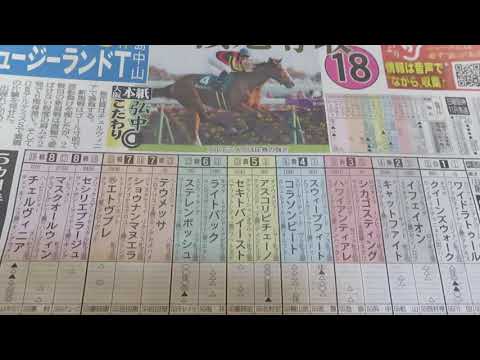 桜花賞　競馬展望です。金曜日段階　直感では・・・