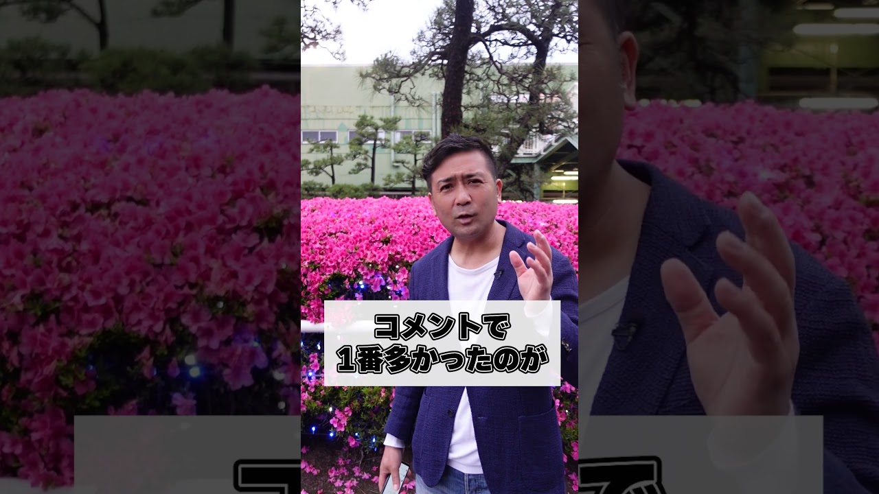 歴代最強の桜花賞馬はどの馬か？3万4000人の声を発表します！#shorts #競馬 #桜花賞