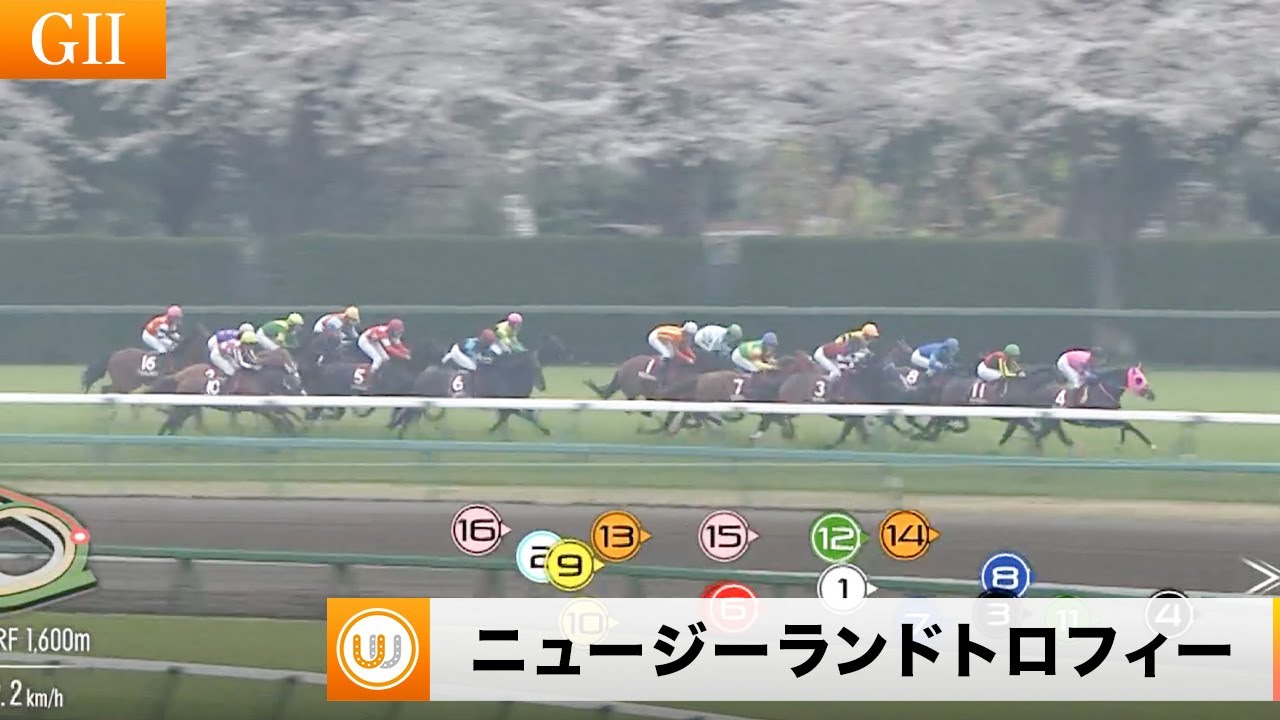 【2024】第42回 ニュージーランドトロフィー（GⅡ） 中山競馬場11R ｜ウイニング競馬 2024年4月6日（土）