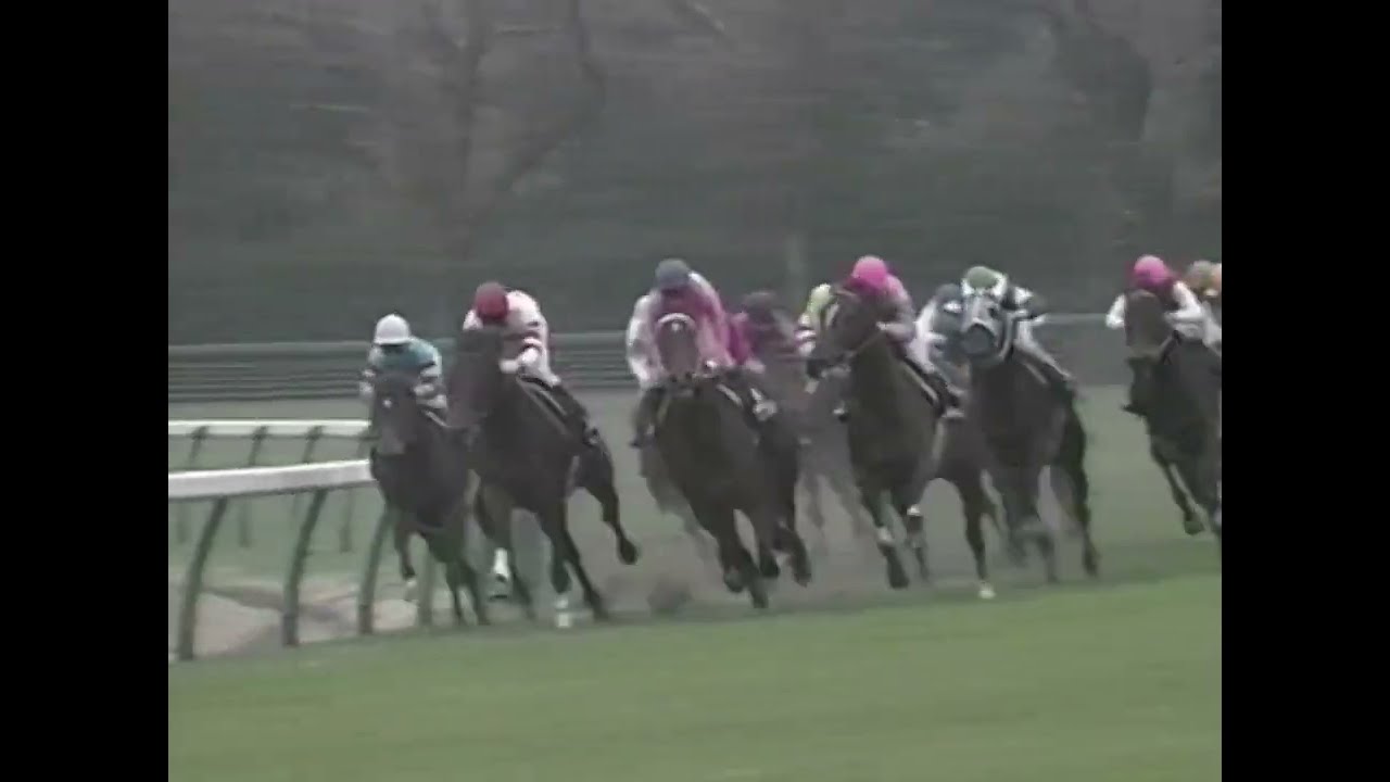 ヤマニンゼファー 1992年 第26回スプリンターズステークス(GI) (優勝馬：ニシノフラワー) (実況：ラジオたんぱ)