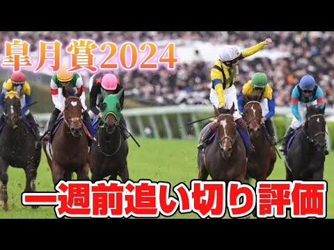 皐月賞2024 一週前追い切り評価
