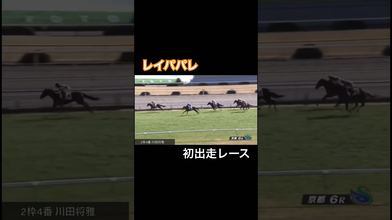 レイパパレの初出走レース
