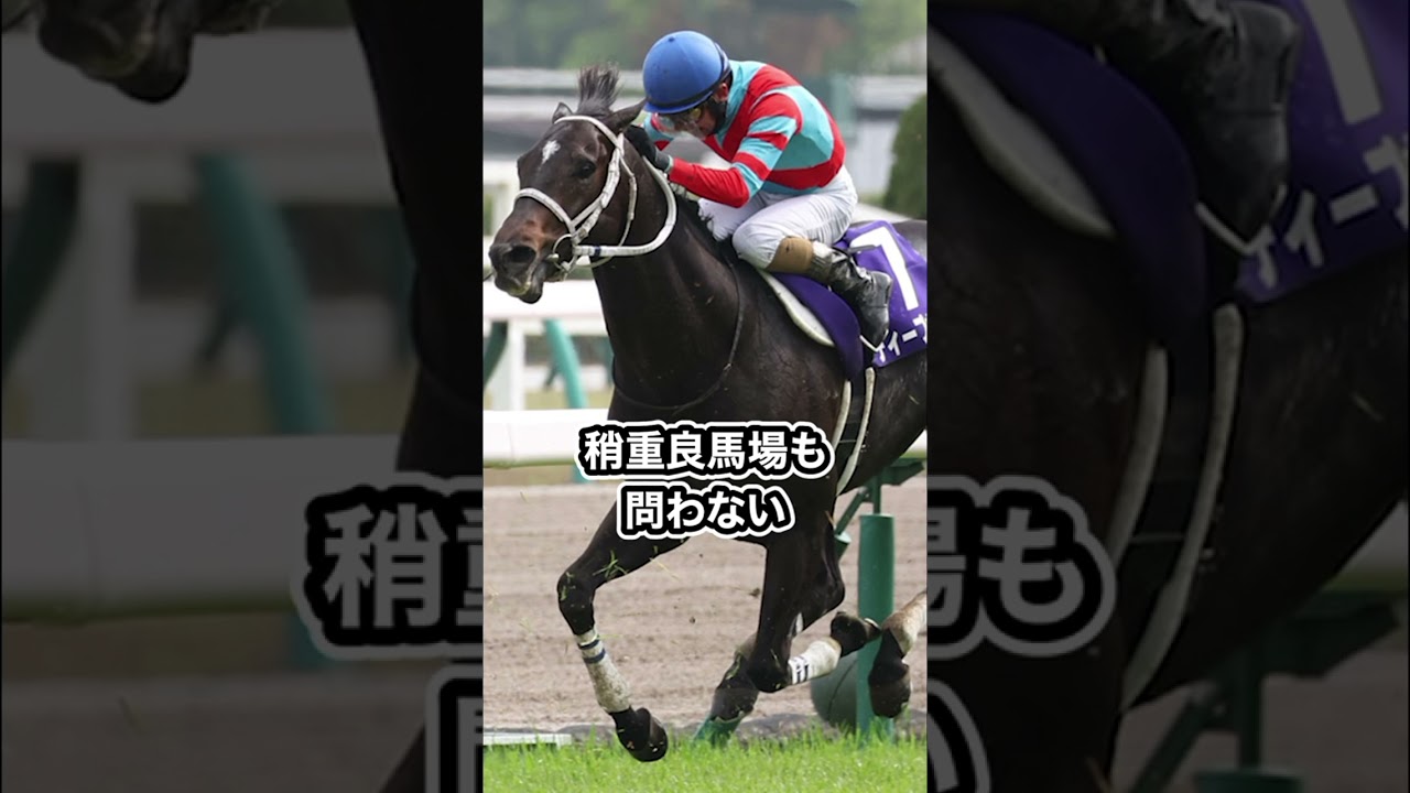 ♯天皇賞春15頭の前哨戦 ♯shorts