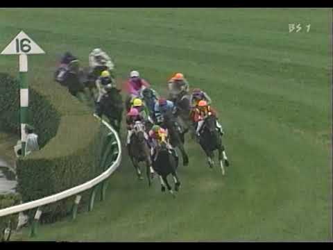 第2回 中山グランドジャンプ JG1 （2000/4/15・中山） ゴーカイ