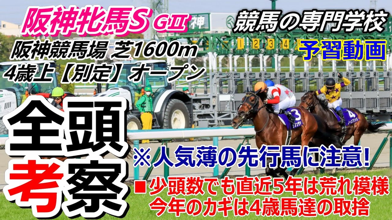 【阪神牝馬S2024】全頭考察 少頭数でも荒れやすいレース