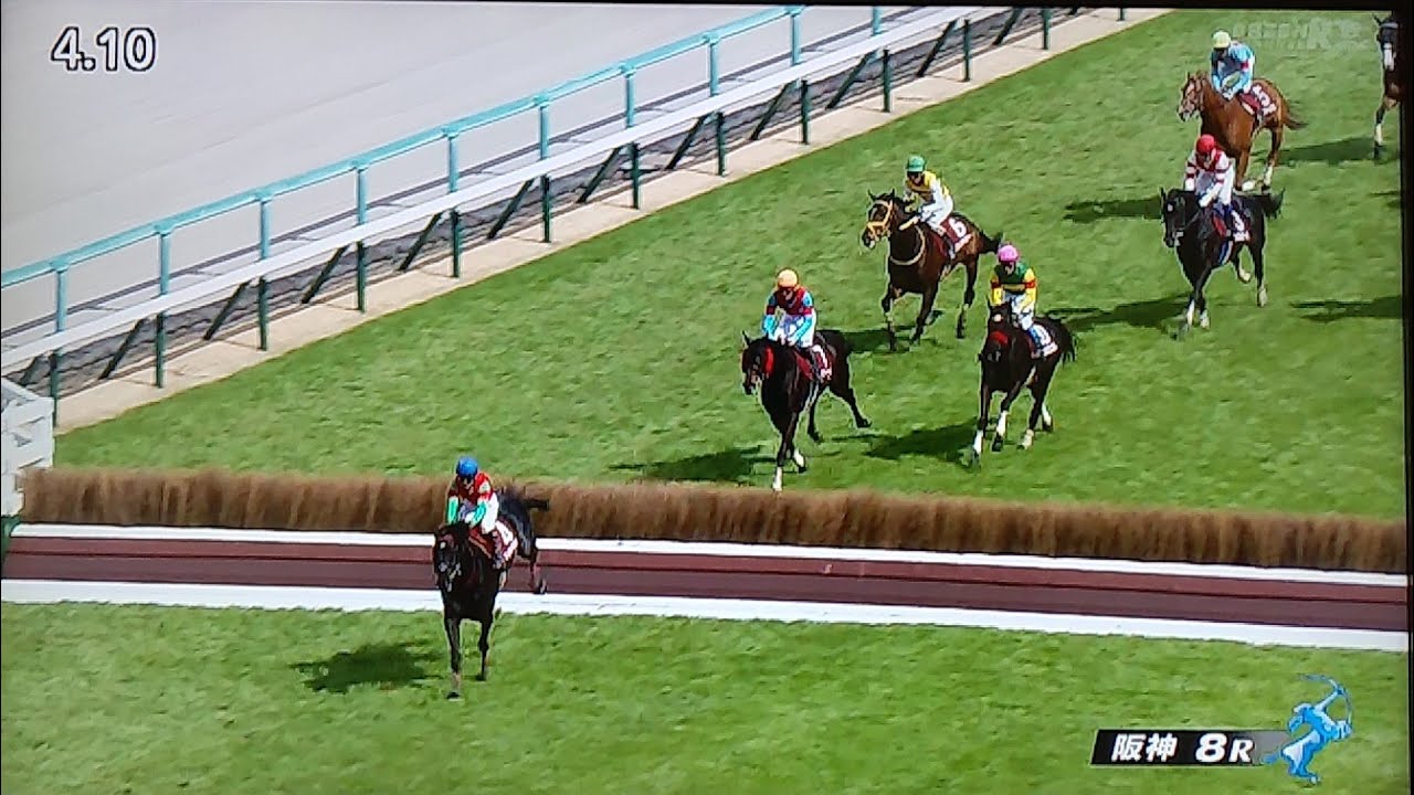 阪神8レース第26回阪神スプリングジャンプ(J・GⅡ) マイネルグロン