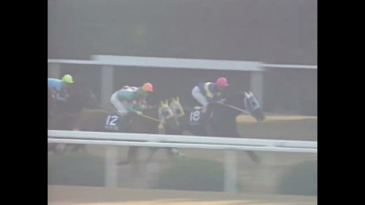 ヤマニンゼファー 1992年 第9回マイルチャンピオンシップ(GI) (優勝馬：ダイタクヘリオス)