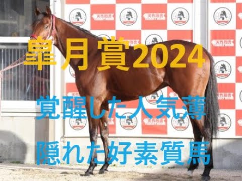 皐月賞 2024 ２歳G１より注目が必要なレース 前哨戦チェック 人気薄素質馬に覚醒の兆し