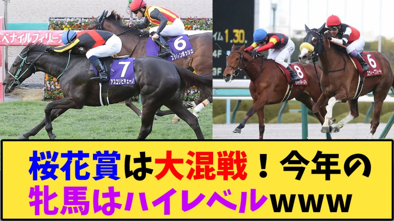 【競馬】「桜花賞は大混戦！今年の牝馬はハイレベルwww」に対する反応【反応集】
