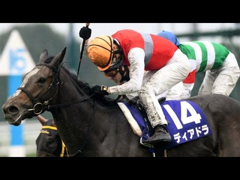 第22回　秋華賞（ＧⅠ）　ディアドラ　牝３　55　C.ルメール　2017.10.15　　出走馬：リスグラシュー、モズカッチャン、ラビットラン、カワキタエンカ、ブラックオニキス、アエロリット他