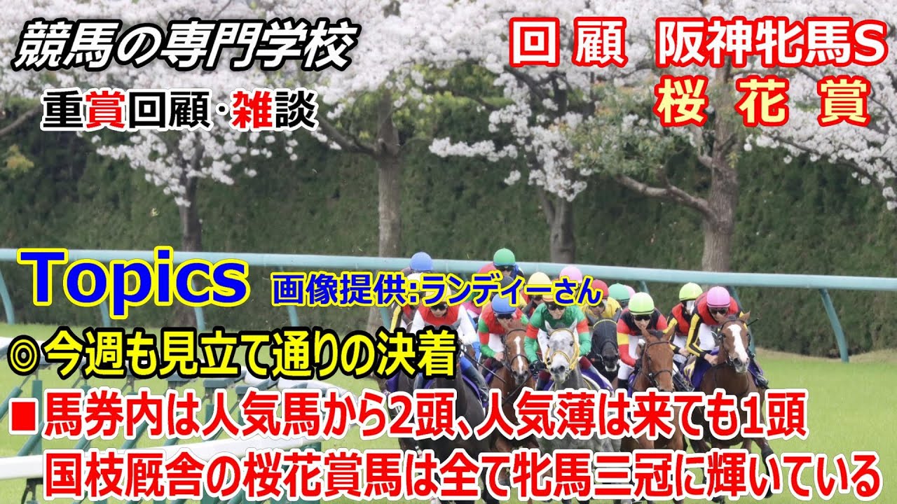 【阪神牝馬S 桜花賞】回顧･雑談 今週も見立て通り ステレンボッシュ先ずは一冠
