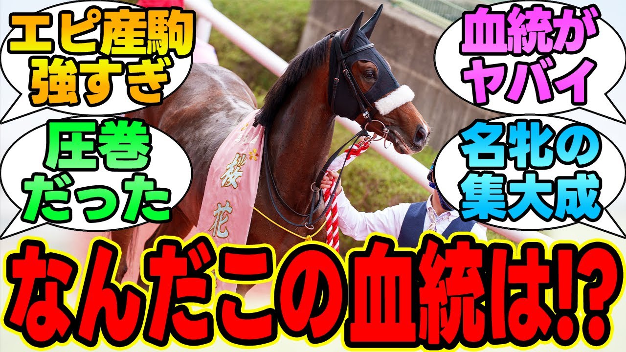 【桜花賞】名牝たちの血の結晶、ステレンボッシュが桜花賞制覇！に対する競馬民の反応集