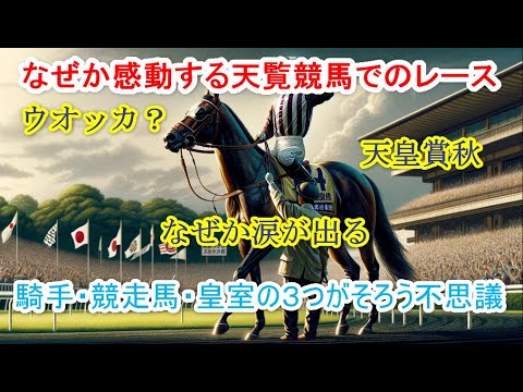 【なぜか感動する】騎手・競走馬・皇室がそろう天覧競馬を観る！この３つで涙が出てしまうのはなぜ？感動する４レースを紹介！#天皇陛下 #天皇 #日本 #天覧競馬 #天皇賞秋 #感動する話 #感動 #競馬