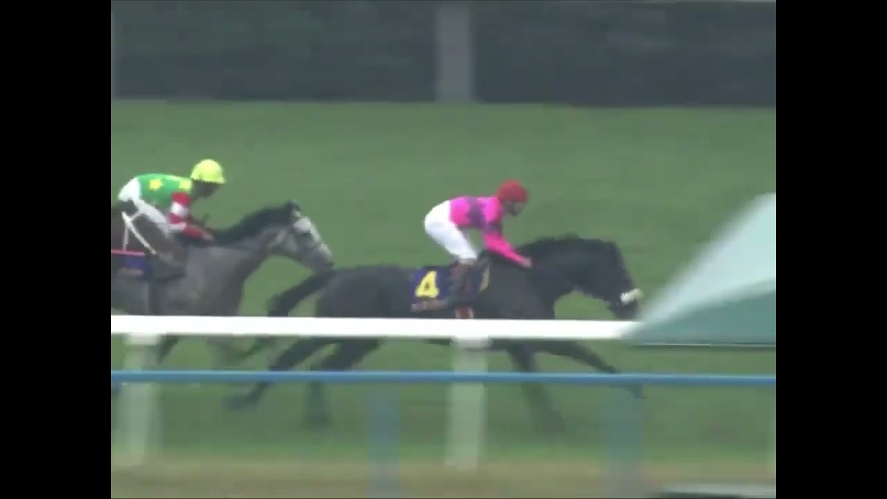 第55回　菊花賞　ナリタブライアン