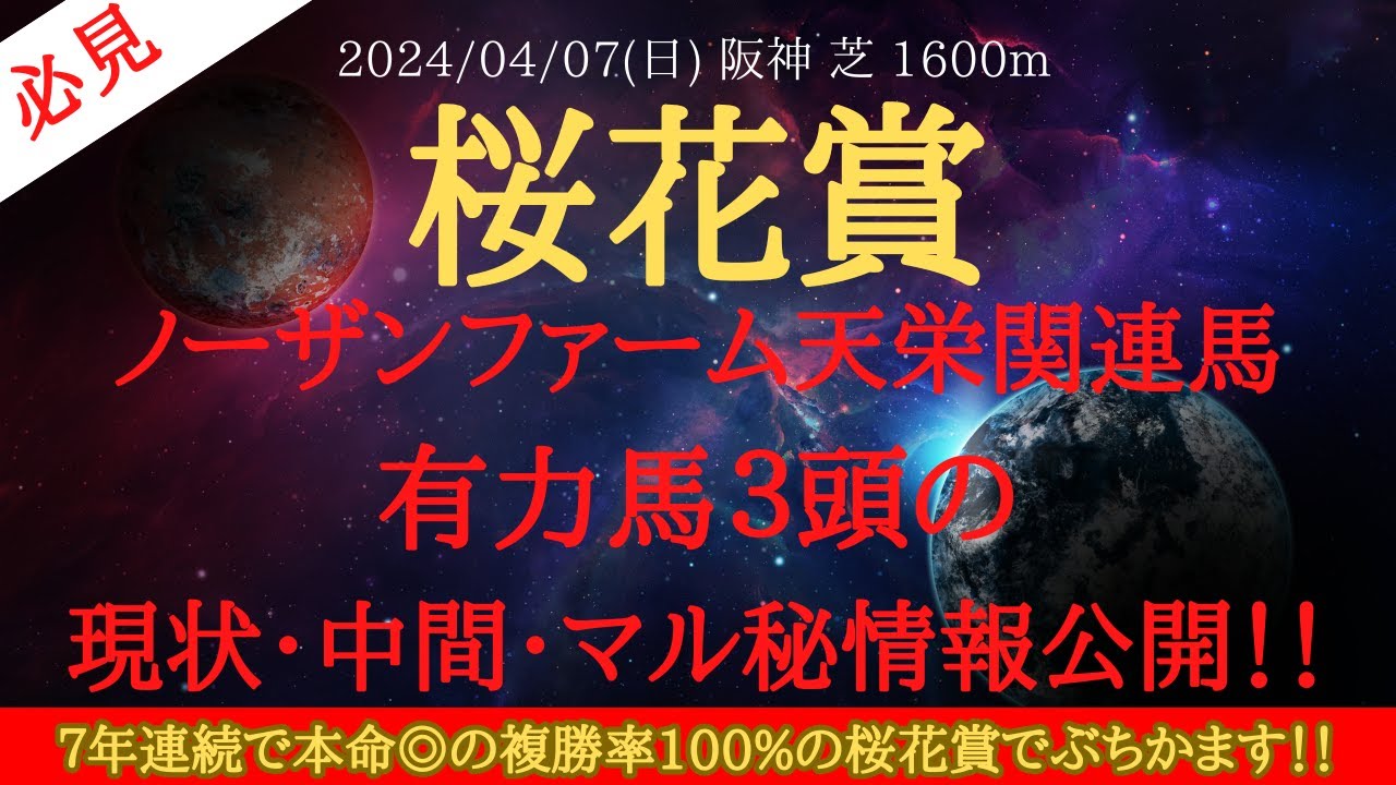 【 天栄上位３頭 】桜花賞 2024 予想 ノーザンファーム天栄関連馬の有力馬３頭の現状・中間・マル秘情報公開！！【中央競馬予想】